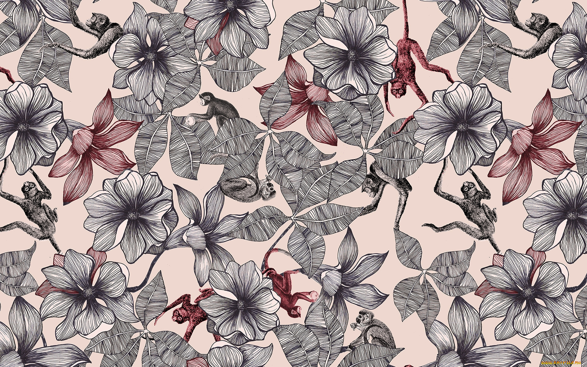  ,  , flowers, , 